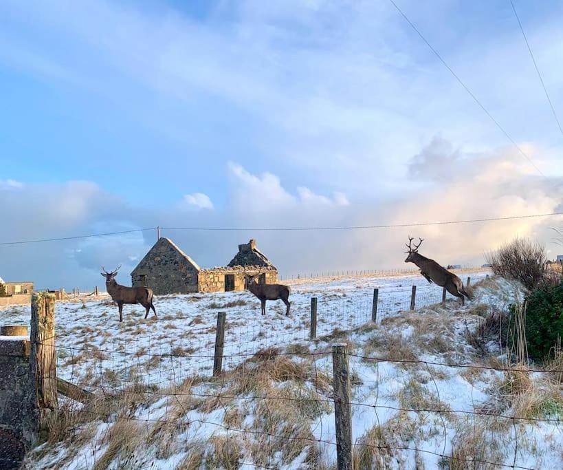 Nᴼ 21 Beautiful Cosy Modern Traditional Cottage Lionel Esterno foto